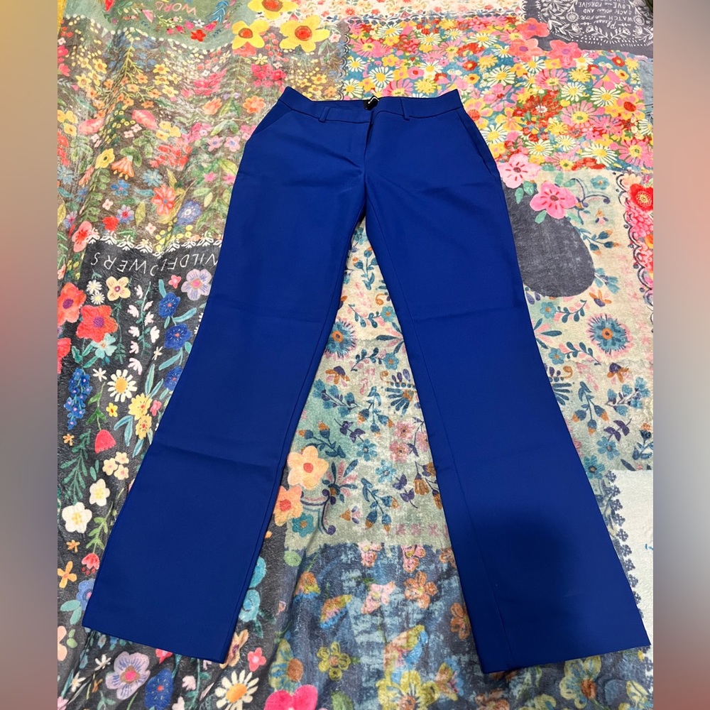 Express Barely Boot Pants in Royal Blue - Picture 3 of 8